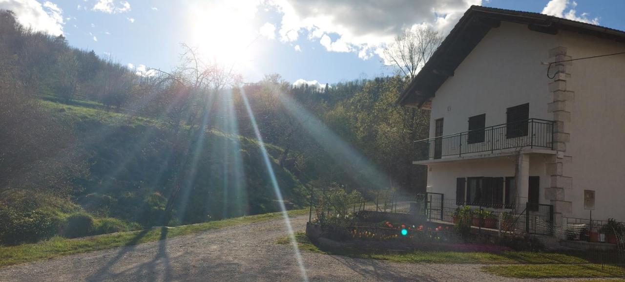Apartma Pr' Ivani Miskorinovi Breginj Exteriör bild