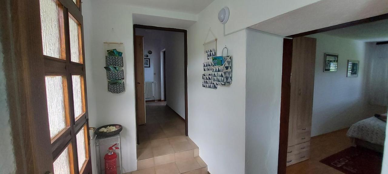 Apartma Pr' Ivani Miskorinovi Breginj Exteriör bild