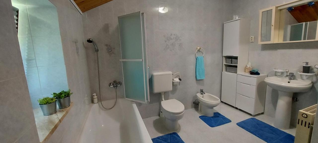 Apartma Pr' Ivani Miskorinovi Breginj Exteriör bild